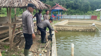 Polisi Hadir Membawa Solusi, Kapolsek Tabir Ulu Inisiasi Pemanfaatan Lahan Eks Tambang Jadi Produktif